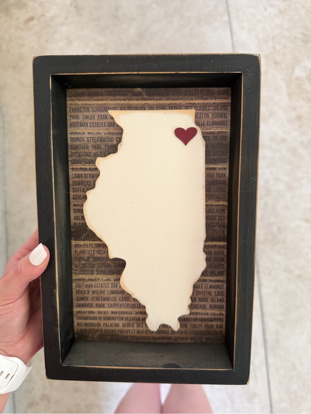 Illinois Wooden Sign